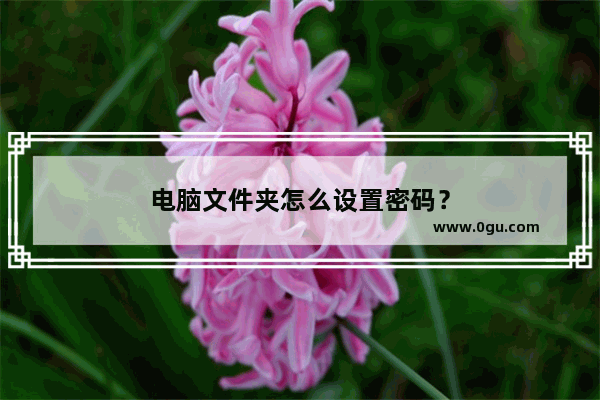 电脑文件夹怎么设置密码？