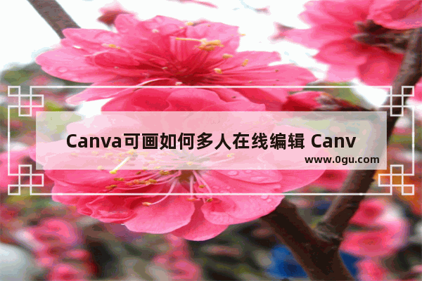Canva可画如何多人在线编辑 Canva可画多人在线编辑的方法