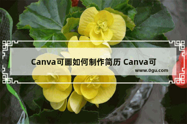 Canva可画如何制作简历 Canva可画制作简历的方法