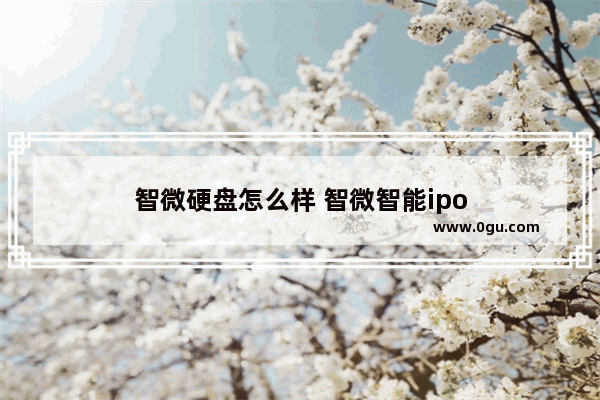 智微硬盘怎么样 智微智能ipo
