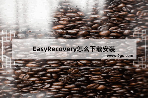EasyRecovery怎么下载安装