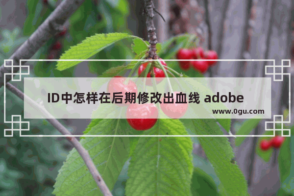 ID中怎样在后期修改出血线 adobe indesign 2022设置出血线的方法