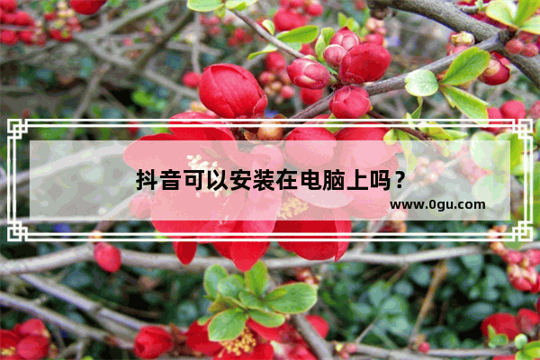 抖音可以安装在电脑上吗？