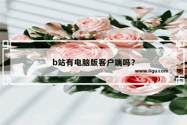 b站有电脑版客户端吗？