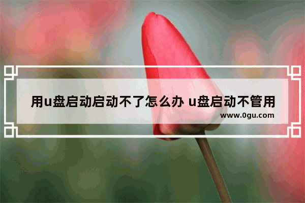 用u盘启动启动不了怎么办 u盘启动不管用了怎么办
