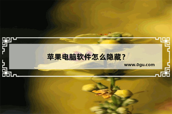 苹果电脑软件怎么隐藏？