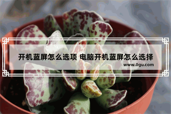 开机蓝屏怎么选项 电脑开机蓝屏怎么选择