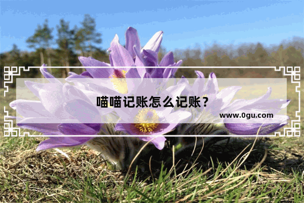 喵喵记账怎么记账？