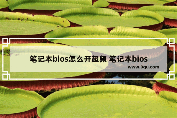 笔记本bios怎么开超频 笔记本bios显卡超频