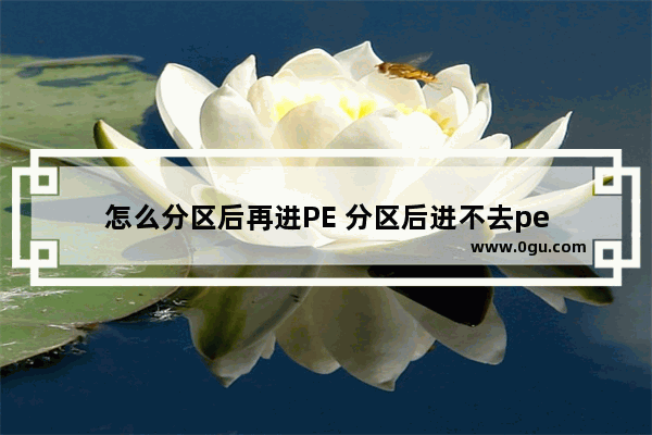 怎么分区后再进PE 分区后进不去pe