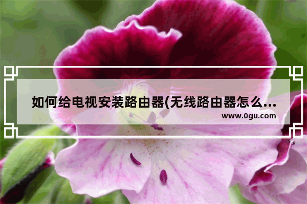 如何给电视安装路由器(无线路由器怎么安装到电视上去)
