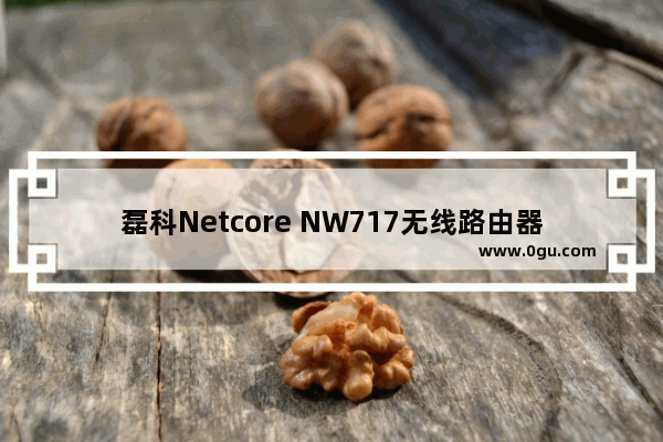 磊科Netcore NW717无线路由器设置上网方法