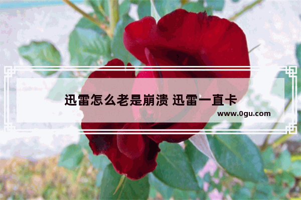迅雷怎么老是崩溃 迅雷一直卡