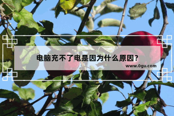 电脑充不了电是因为什么原因？
