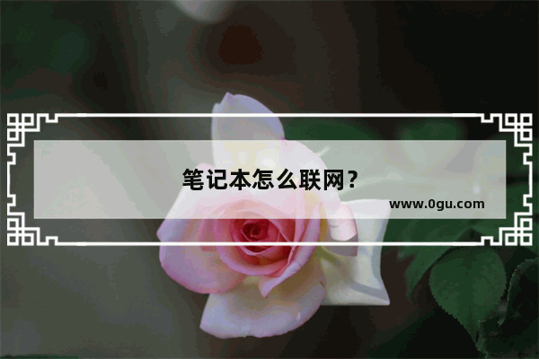 笔记本怎么联网？