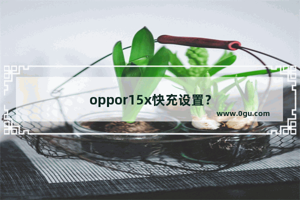 oppor15x快充设置？