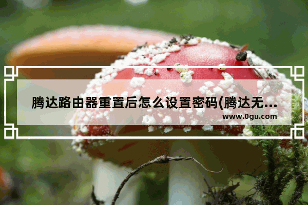 腾达路由器重置后怎么设置密码(腾达无线路由器如何重置)