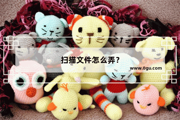 扫描文件怎么弄？