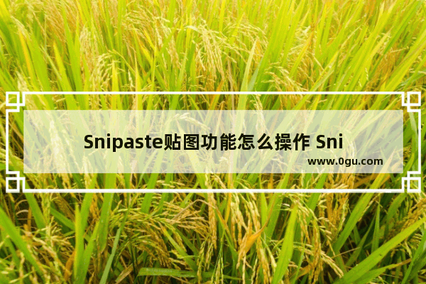 Snipaste贴图功能怎么操作 Snipaste进行贴图的方法