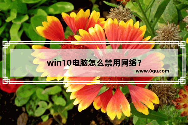win10电脑怎么禁用网络？