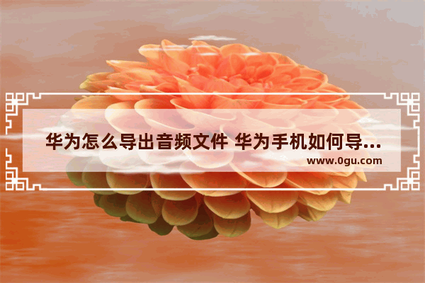 华为怎么导出音频文件 华为手机如何导出音乐文件