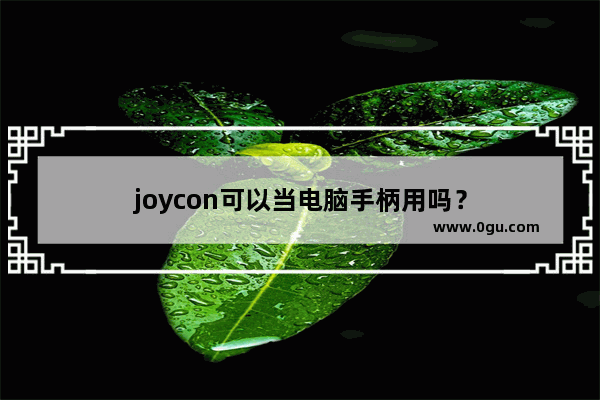 joycon可以当电脑手柄用吗？