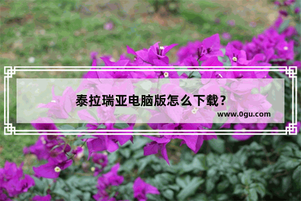 泰拉瑞亚电脑版怎么下载？