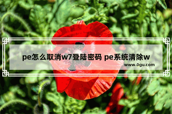 pe怎么取消w7登陆密码 pe系统清除win7密码