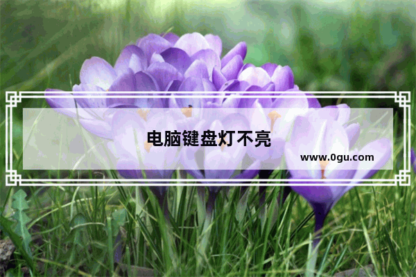 电脑键盘灯不亮