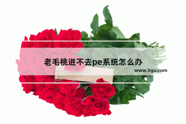 老毛桃进不去pe系统怎么办