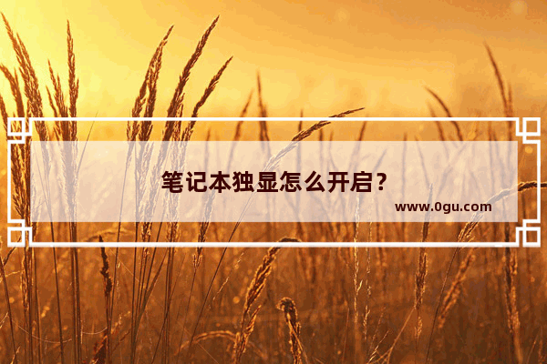 笔记本独显怎么开启？