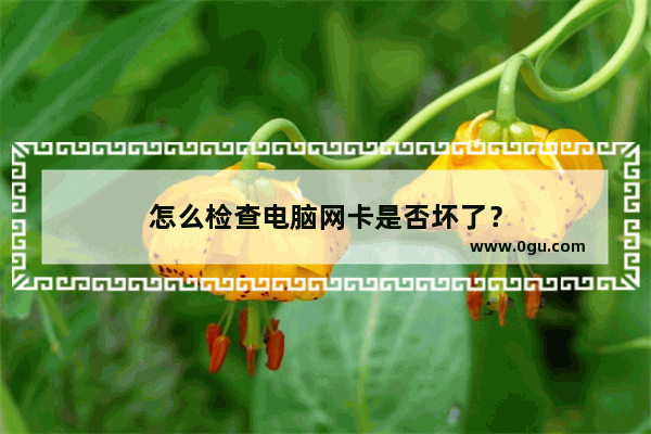 怎么检查电脑网卡是否坏了？