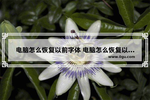 电脑怎么恢复以前字体 电脑怎么恢复以前字体样式