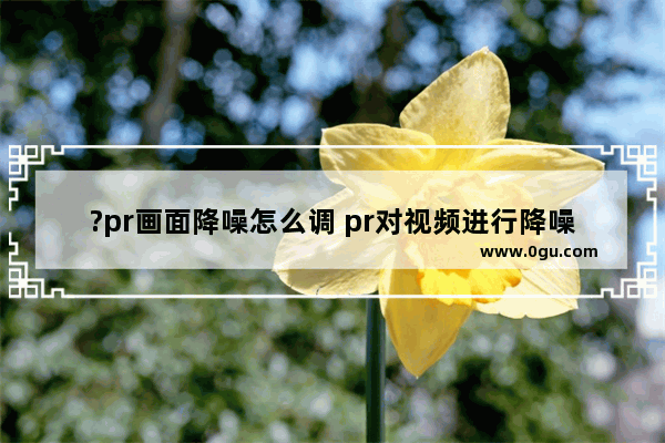 ?pr画面降噪怎么调 pr对视频进行降噪处理的方法教程