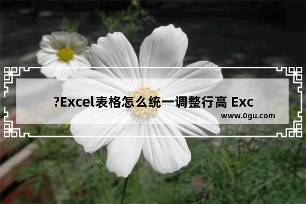 ?Excel表格怎么统一调整行高 Excel表格中设置统一的行高的方法教程
