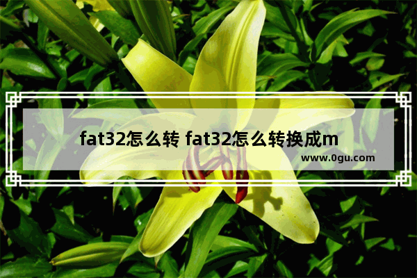 fat32怎么转 fat32怎么转换成mp3