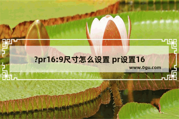 ?pr16:9尺寸怎么设置 pr设置16:9的视频尺寸的方法教程