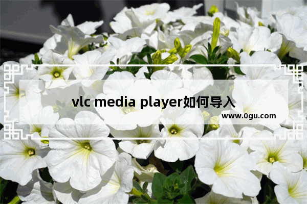 vlc media player如何导入视频 vlc media player导入视频的方法