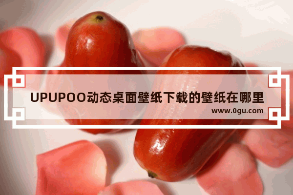 UPUPOO动态桌面壁纸下载的壁纸在哪里 upupoo动态壁纸查看下载壁纸路径的方法
