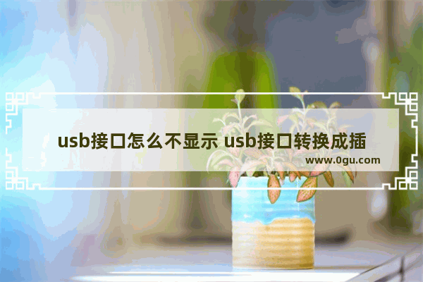 usb接口怎么不显示 usb接口转换成插头