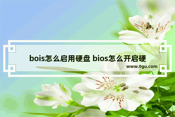 bois怎么启用硬盘 bios怎么开启硬盘启动