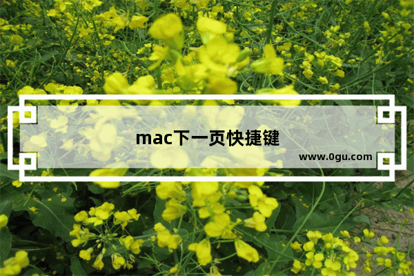 mac下一页快捷键