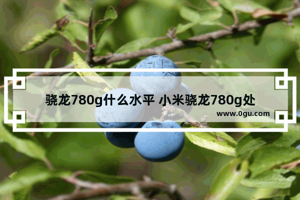 骁龙780g什么水平 小米骁龙780g处理器怎么样