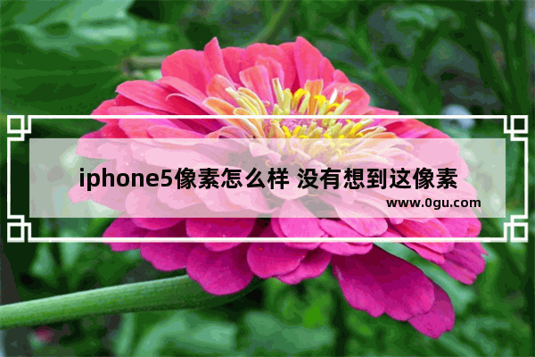 iphone5像素怎么样 没有想到这像素这么牛
