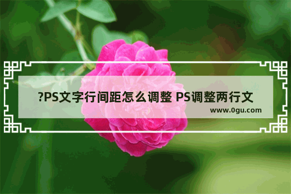 ?PS文字行间距怎么调整 PS调整两行文字之间间距大小的方法教程