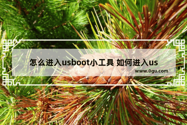 怎么进入usboot小工具 如何进入usb启动选项