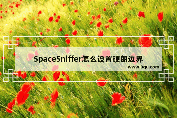 SpaceSniffer怎么设置硬朗边界对比