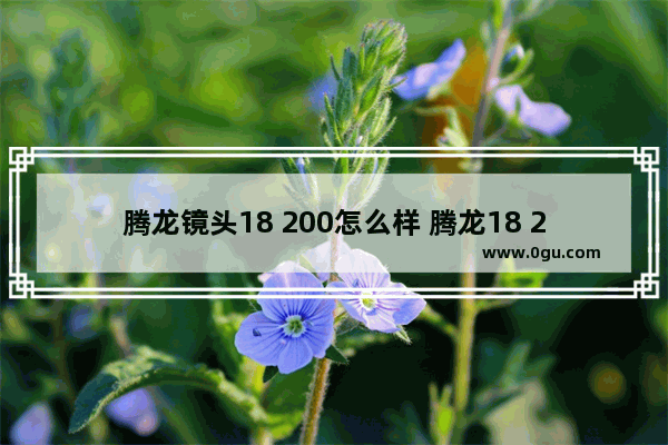 腾龙镜头18 200怎么样 腾龙18 200VC镜头评测
