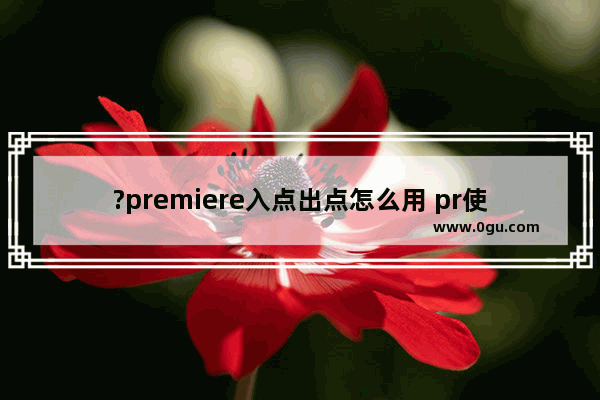 ?premiere入点出点怎么用 pr使用入点和出点命令的方法教程