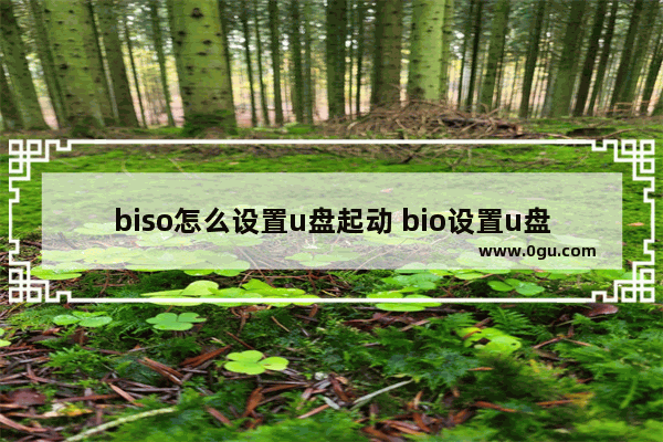biso怎么设置u盘起动 bio设置u盘启动